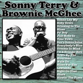 Sonny Terry & Brownie Mcghee - Gonna Lay My Body Down