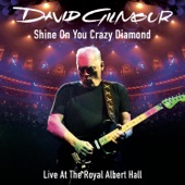 David Gilmour ft. David Croby - Shine On You Crazy Diamond (Parts 1-5) (Live At The Royal Albert Hall)