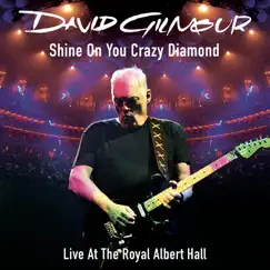 Shine On You Crazy Diamond (Parts 1 - 5) [feat. David Crosby & Graham Nash] [Live At the Royal Albert Hall] - EP by David Gilmour album reviews, ratings, credits