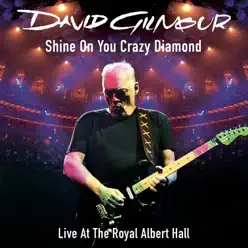 Shine On You Crazy Diamond, Pts. 1-9 (feat. Crosby & Nash) [Live At the Royal Albert Hall] - EP - David Gilmour