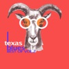 Texas Blues - Best of, Vol. 2