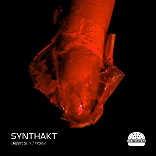 Desert Sun / Prodia - Single by Synthakt