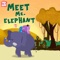 Meet Mr. Elephant - Anish Sharma lyrics