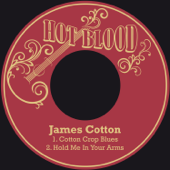 Cotton Crop Blues - James Cotton