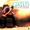 Tu Desconfianza - Juana Gallo lyrics