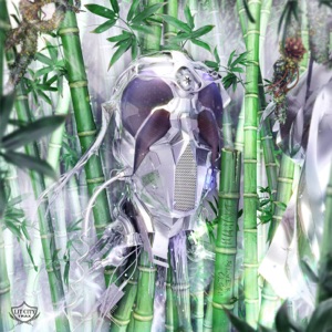 Silver Cloak