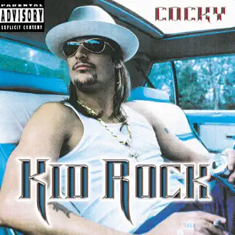 Picture (feat. Sheryl Crow) by Kid Rock song reviws