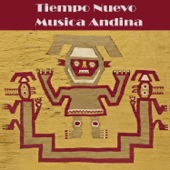 Tiempo Nuevo - Música Andina artwork