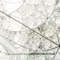 Deconstruction - Pino Forastiere lyrics