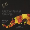 Glazbeni festival Slavonije Požega 2013 -Razni izvođači - EP, 2014