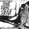 Capricorns - 1977: Blood for Papa