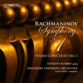 Piano Concerto No. 1 in F-Sharp Minor, Op. 1: I. Vivace - Moderato artwork