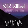 Shadows (feat. Josh Rubin) - Single album lyrics, reviews, download