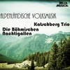 Alpenländische Volksmusik, Vol. 1