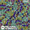 Stream & download Light - Single