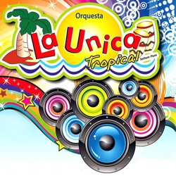 La Única Tropical - No quiero estar solo