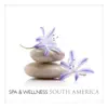 Spa & Wellness in South America album lyrics, reviews, download