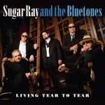 Sugar Ray & The Bluetones - Ninety Nine