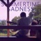 Summertime Sadness - Peter Gergely lyrics