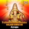 Veeramani Raju - Achankovil Arase