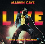 Marvin Gaye - Got to Give It Up