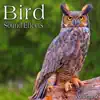 Bird Sound Effects, Vol. 2 album lyrics, reviews, download