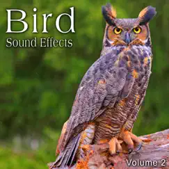 Bird Sound Effects, Vol. 2 by The Hollywood Edge Sound Effects Library album reviews, ratings, credits