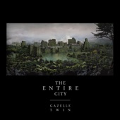 The Entire City artwork
