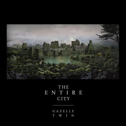 THE ENTIRE CITY cover art