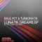 Lunatik Dreams - Turbomatik & Raul Pot lyrics
