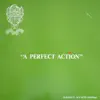 A Perfect Action (English Cricket) album lyrics, reviews, download