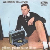 Pijem, Pijem Suze Lijem artwork