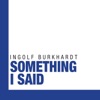 Something I Said (feat. Roland Cabesas, Achim Rafain & Simon Gattringer), 2014