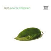 Bach pour la méditation artwork