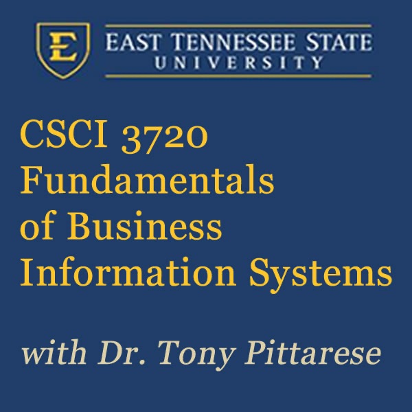 Fundamentals of Business Information Systems (Fall 2014)