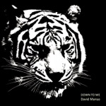 Down to Me (Andruss Remix)