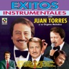 Exitos Instrumentales