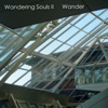 Wandering Souls - Dirty Boulevard