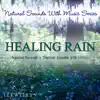 Healing Rain: Natural Sounds with Music Series album lyrics, reviews, download