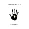 Goodbye - Who Is Fancy lyrics