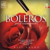Boleros para Enamorarse, Vol.1