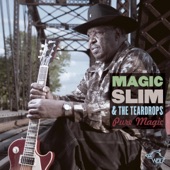 Magic Slim & The Teardrops - See What You're Doin' To Me