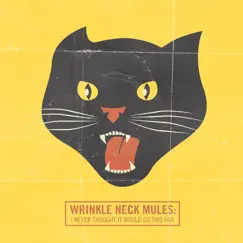 I Never Thought It Would Go This Far by Wrinkle Neck Mules album reviews, ratings, credits