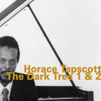 Horace Tapscott - The Dark Tree 1 & 2 (feat. John Carter, Cecil McBee & Andrew Cyrille) artwork