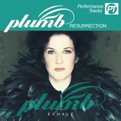 Resurrection (Performance Track) - EP - Plumb