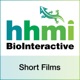 HHMI BioInteractive Short Films