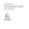 Palmito (Steve Angello Remix) - Flash Brothers lyrics