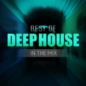 Best of Deep House in the Mix artwork