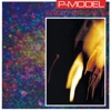 P-MODEL