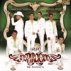 Inspiracion - Te Vas Te Vas